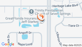 New Port Richey, FL Homeowner's Insurance Agency